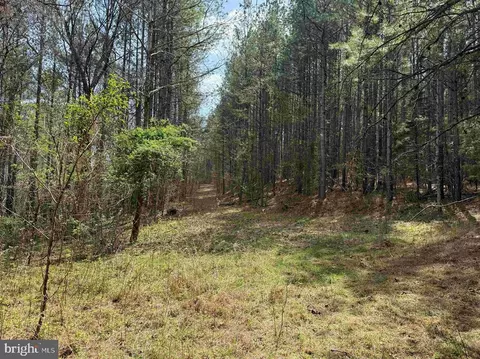 Wyatt Farm Road, Dry Fork, VA 24549 photo 17