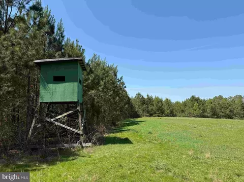 Dabney House Rd.-, Java, VA 24565