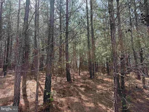 Bearskin Road, Chatham, VA 24531 photo 7