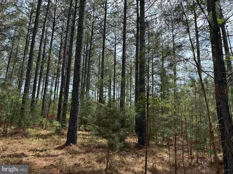 Bearskin Road, Chatham, VA 24531 photo 2