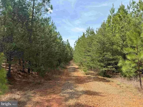 Bearskin Road, Chatham, VA 24531 photo 8