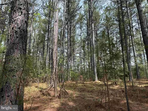Bearskin Road, Chatham, VA 24531 photo 6