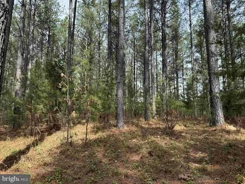 Bearskin Road, Chatham, VA 24531 photo 11