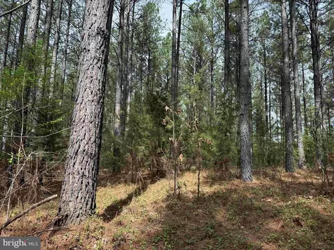 Bearskin Road, Chatham, VA 24531 photo 10