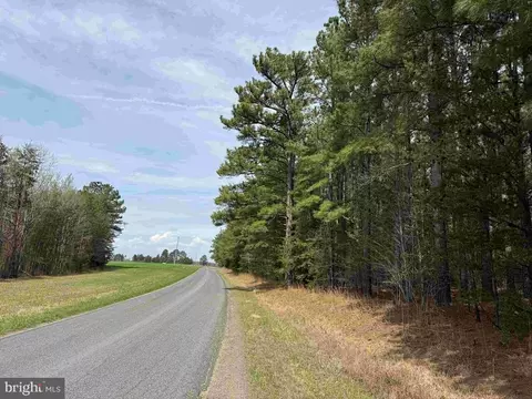 Bearskin Road, Chatham, VA 24531 photo 14