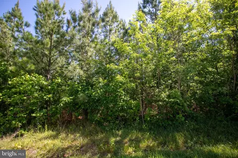 tbd Grassland #9E, Sandy Level, VA 24161 photo 18