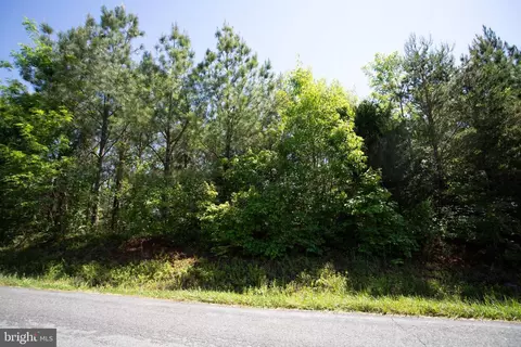 tbd Grassland #9E, Sandy Level, VA 24161 photo 15