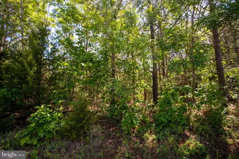 tbd Grassland #9E, Sandy Level, VA 24161 photo 17