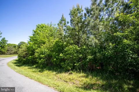 tbd Grassland #9E, Sandy Level, VA 24161 photo 19