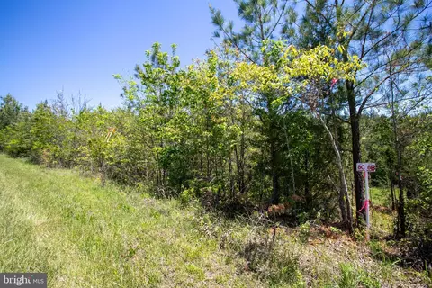tbd Appletree #8C, Sandy Level, VA 24161 photo 25
