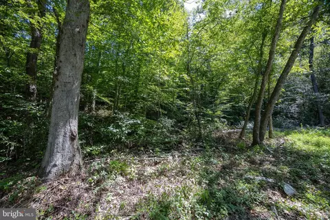 tbd Grassland #6A, Sandy Level, VA 24161 photo 10