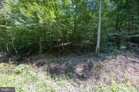 tbd Grassland #6A, Sandy Level, VA 24161 photo 4