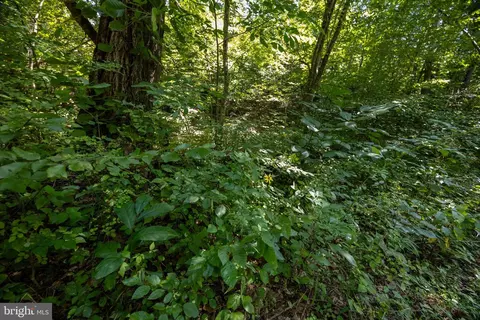 tbd Grassland #6A, Sandy Level, VA 24161 photo 12