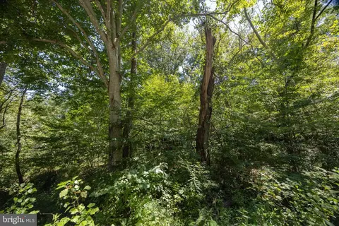 tbd Grassland #6A, Sandy Level, VA 24161 photo 13