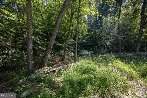 tbd Grassland #6A, Sandy Level, VA 24161 photo 8