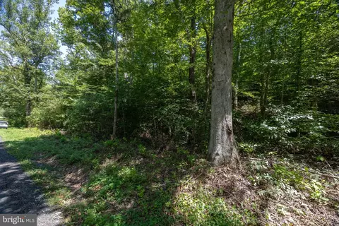 tbd Grassland #6A, Sandy Level, VA 24161 photo 11