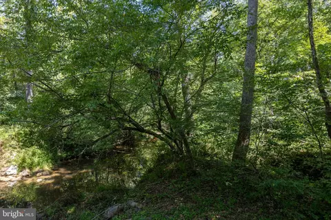 tbd Grassland #6A, Sandy Level, VA 24161 photo 17