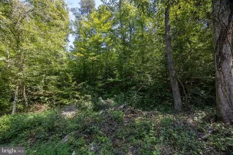 tbd Grassland #6A, Sandy Level, VA 24161 photo 7