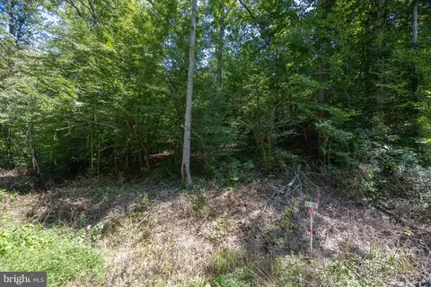 tbd Grassland #6A, Sandy Level, VA 24161 photo 2