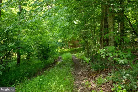 tbd Brandon #4, Chatham, VA 24531 photo 19