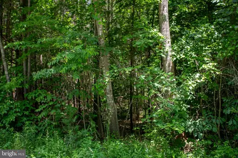 tbd Brandon #4, Chatham, VA 24531 photo 8