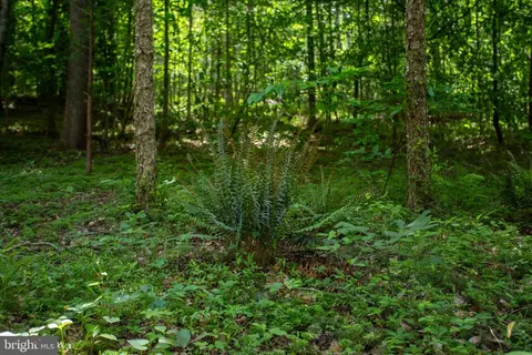 tbd Brandon #4, Chatham, VA 24531 photo 26