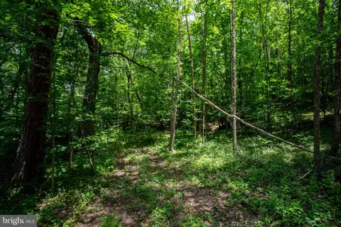 tbd Brandon #4, Chatham, VA 24531 photo 22