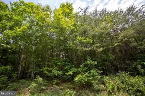 tbd Brandon #4, Chatham, VA 24531 photo 3