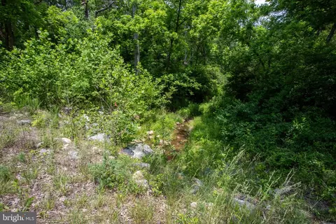 tbd Brandon #4, Chatham, VA 24531 photo 13