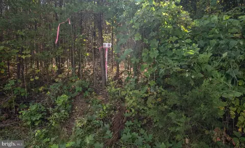 tbd W Gretna #5A, Sandy Level, VA 24161 photo 15