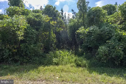tbd W Gretna #5A, Sandy Level, VA 24161 photo 14