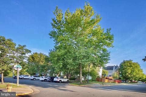 8302 Singleton Ter, Manassas, VA 20109 photo 25