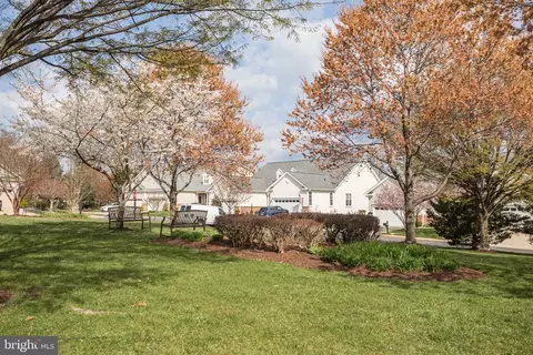 Exterior - 13711 Currant Loop, Gainesville, VA 20155 photo 8 of 11