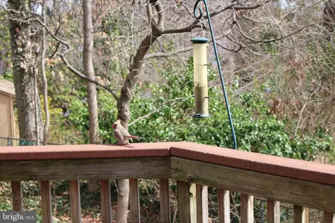 Exterior - 18413 Cabin Rd, Triangle, VA 22172 photo 6 of 13
