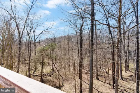 View/Area - 13544 Wembley Loop, Bristow, VA 20136 photo 9 of 11