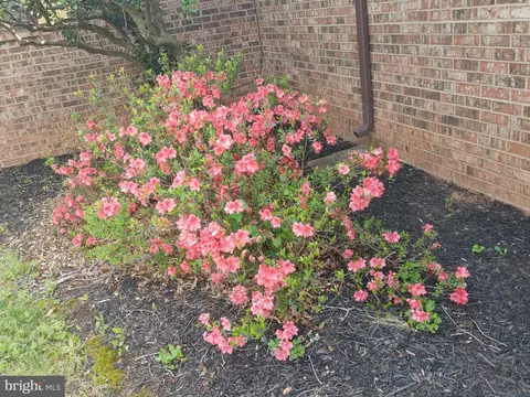 Other - 8405 Sunset Dr, Manassas, VA 20110 photo 43 of 62