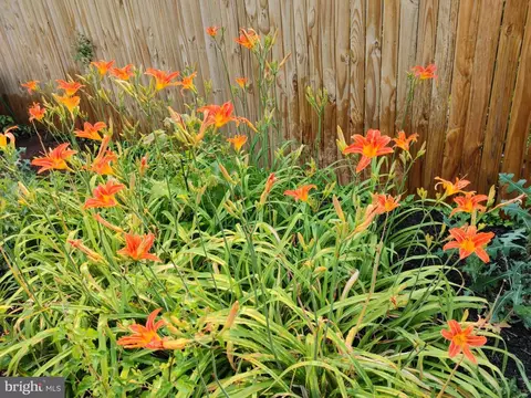 Other - 8405 Sunset Dr, Manassas, VA 20110 photo 53 of 62