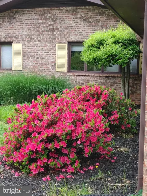 Exterior - 8405 Sunset Dr, Manassas, VA 20110 photo 12 of 16