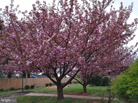 Exterior - 8405 Sunset Dr, Manassas, VA 20110 photo 13 of 16