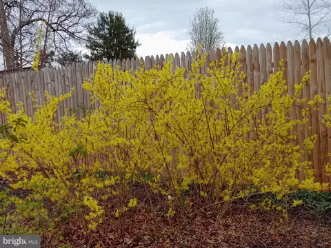 Other - 8405 Sunset Dr, Manassas, VA 20110 photo 57 of 62