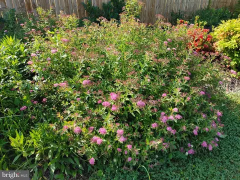 Other - 8405 Sunset Dr, Manassas, VA 20110 photo 54 of 62