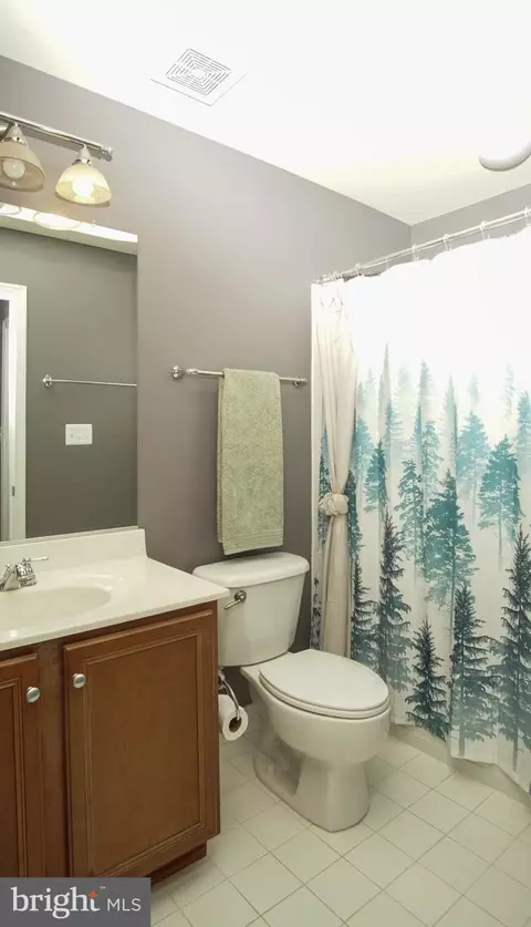Bath - 13643 Dodsworth Dr, Bristow, VA 20136 photo 4 of 4