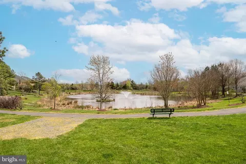 Exterior - 14243 Clatterbuck Loop, Gainesville, VA 20155 photo 6 of 10