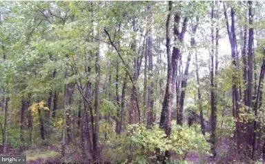 7509 James Madison Hwy, Gainesville, VA 20155
