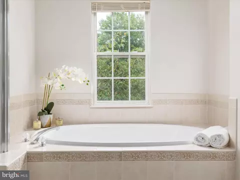 Bath - 5422 Heredity Ln, Gainesville, VA 20155 photo 4 of 5
