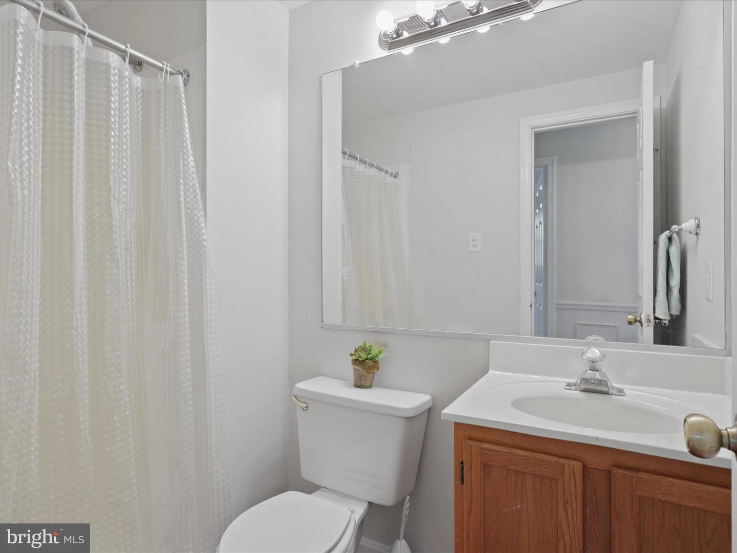 7359 Saint Thomas Loop, Manassas, VA 20109 photo 36