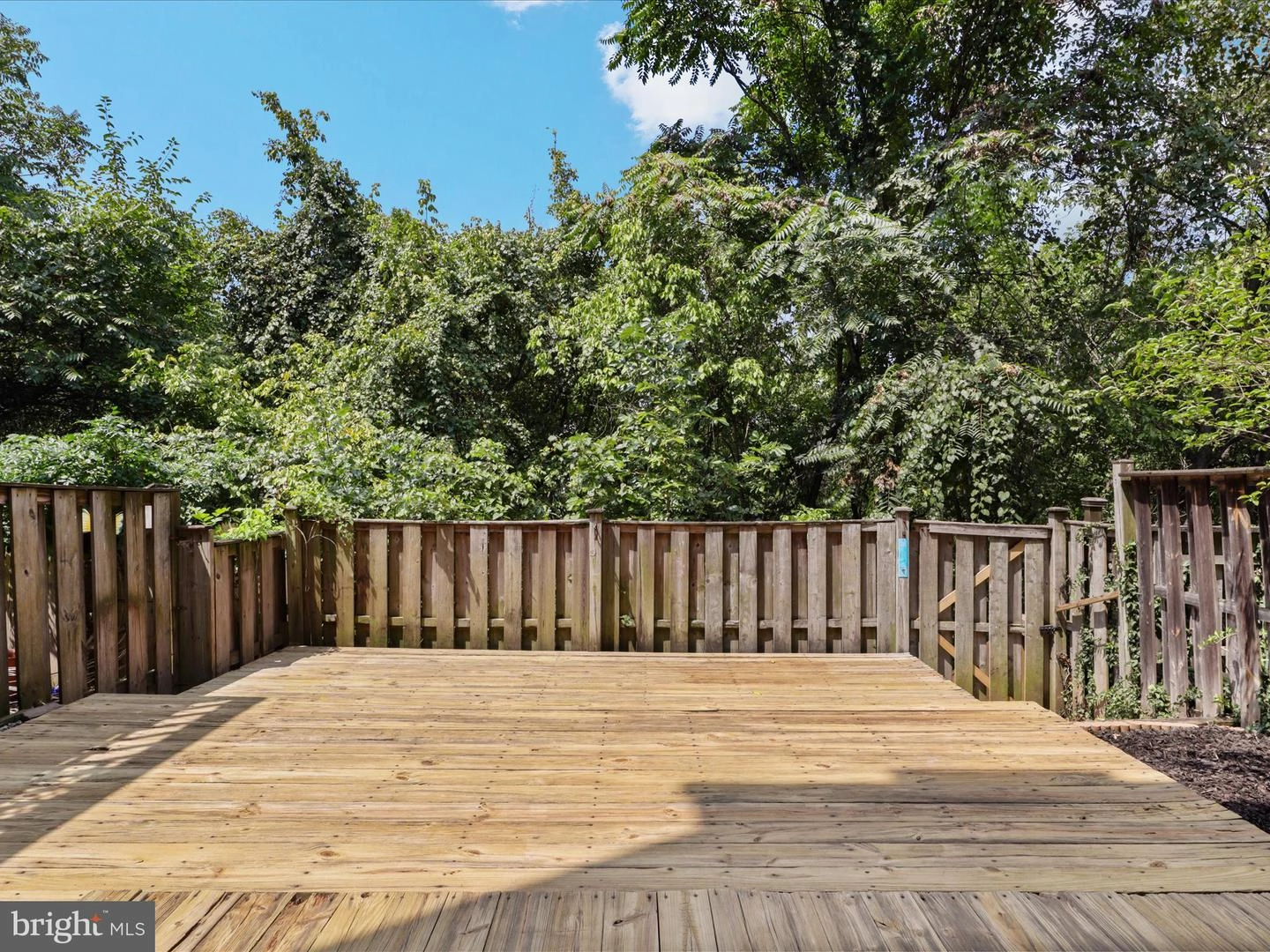 7359 Saint Thomas Loop, Manassas, VA 20109 photo 40
