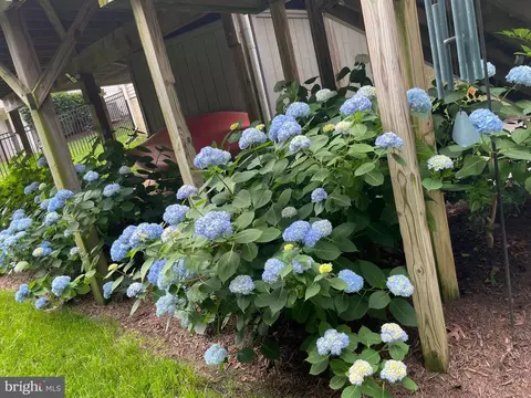 Exterior - 2884 Nicely Ct, Dumfries, VA 22026 photo 11 of 19