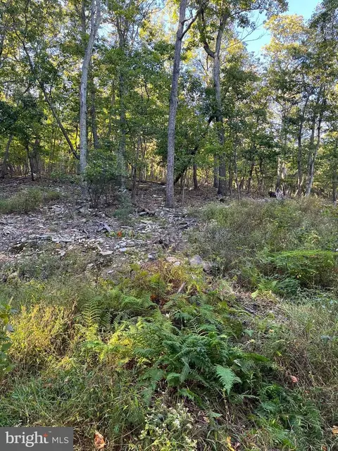 2014 Gore Dr, Haymarket, VA 20169
