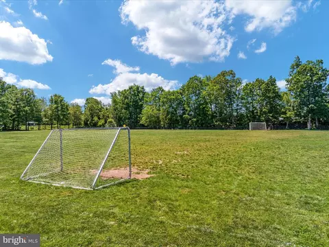 10121 Pale Rose Loop, Bristow, VA 20136 photo 56